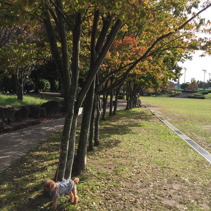 C3381a0f b080 4297 80c7 53aa6752ebac