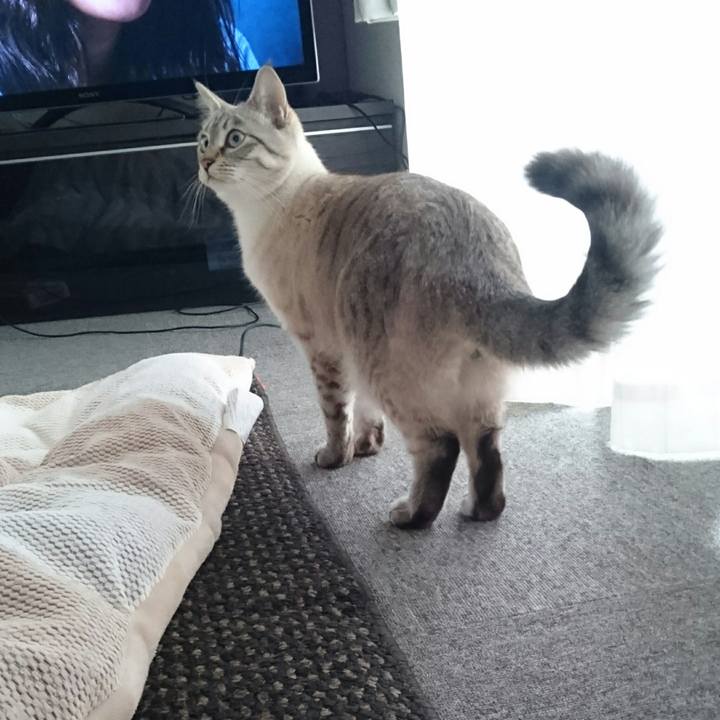 C338920d a77d 45fd a99b da4724b5017e