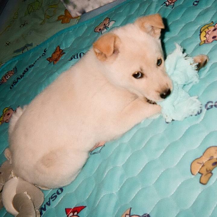 C338a24b 1b51 4327 acc5 0e071af8034a