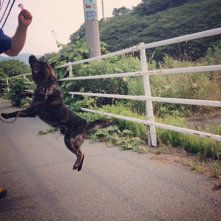 C3395248 0ede 4f50 b4ff f6ce6efc552d