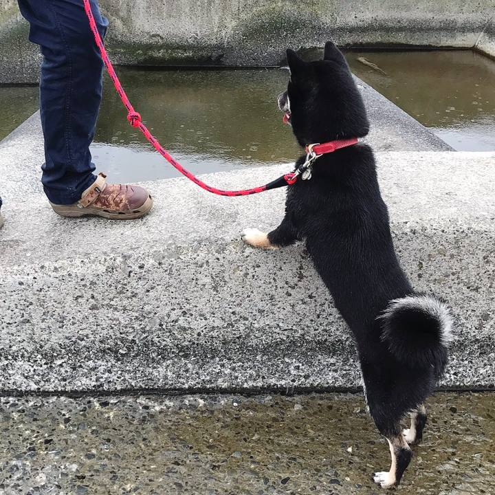 C3397817 3afc 4b2b 9e5a acb15cfe27f0