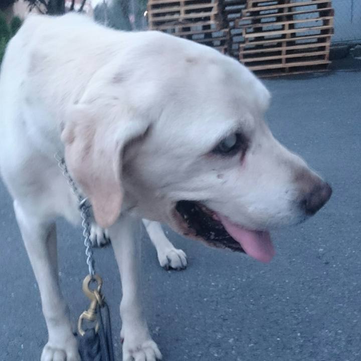 C33a3468 4d93 4503 81e2 a523f800c3f3