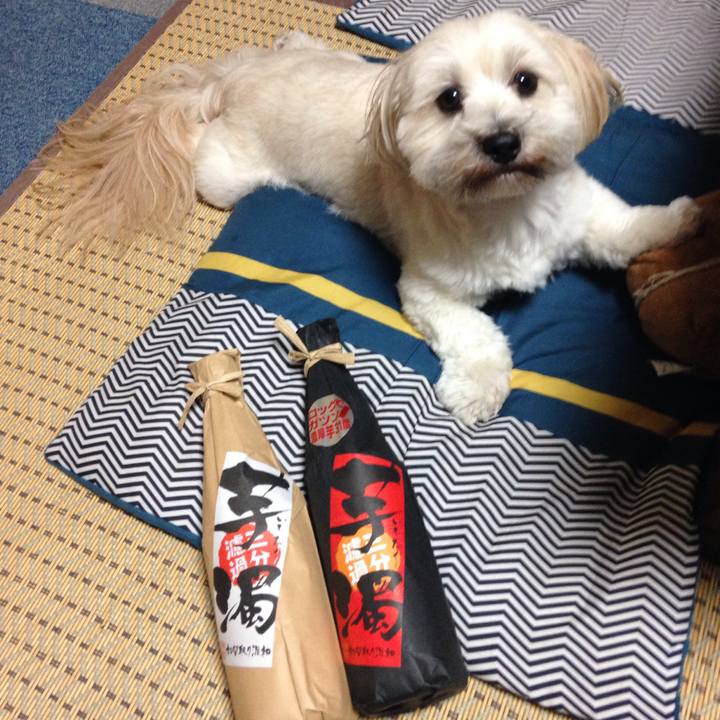 C33ac3a5 4ba4 4783 932b 2f3f6750f445