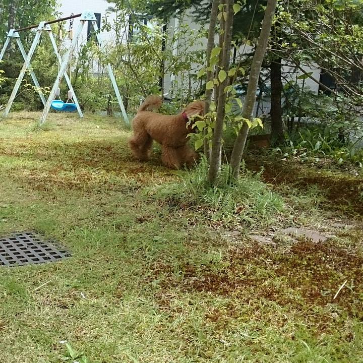 C33b10b7 0faf 47a5 830c 2c87ab2da4b5