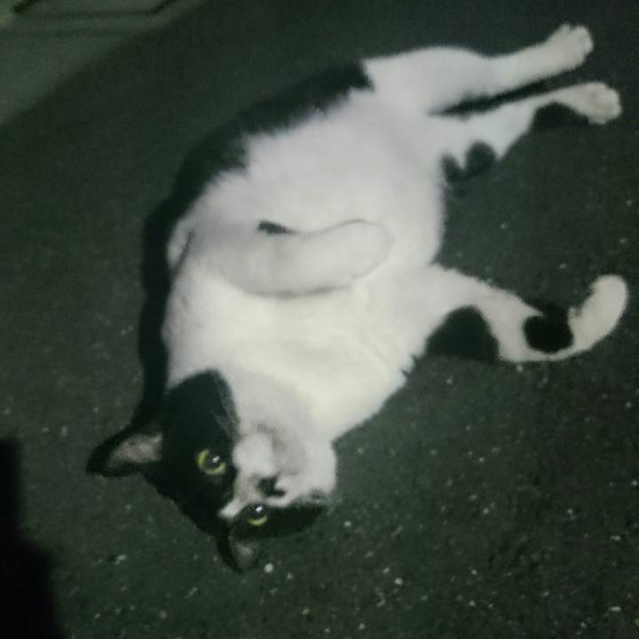 C33bb1bb 80cf 47cf 9d7b 5847273de935