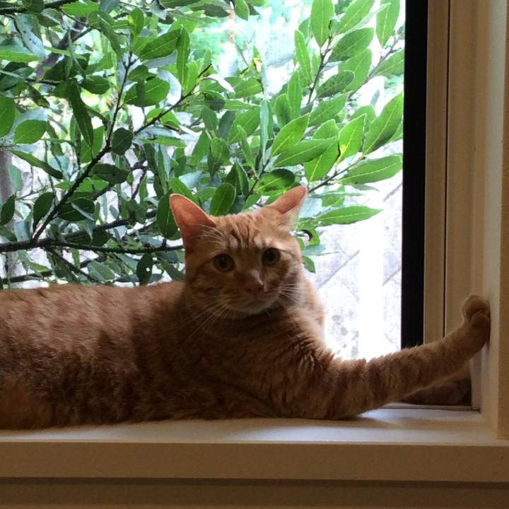 C33cd5e1 c943 4c82 83b9 3e66e893a08f