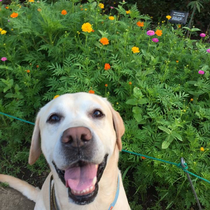 C33cf802 36d6 450e 92ca 90f2ec0f4ddc