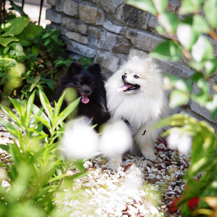 C33d0c6a ee4c 444d b648 306cee91d400