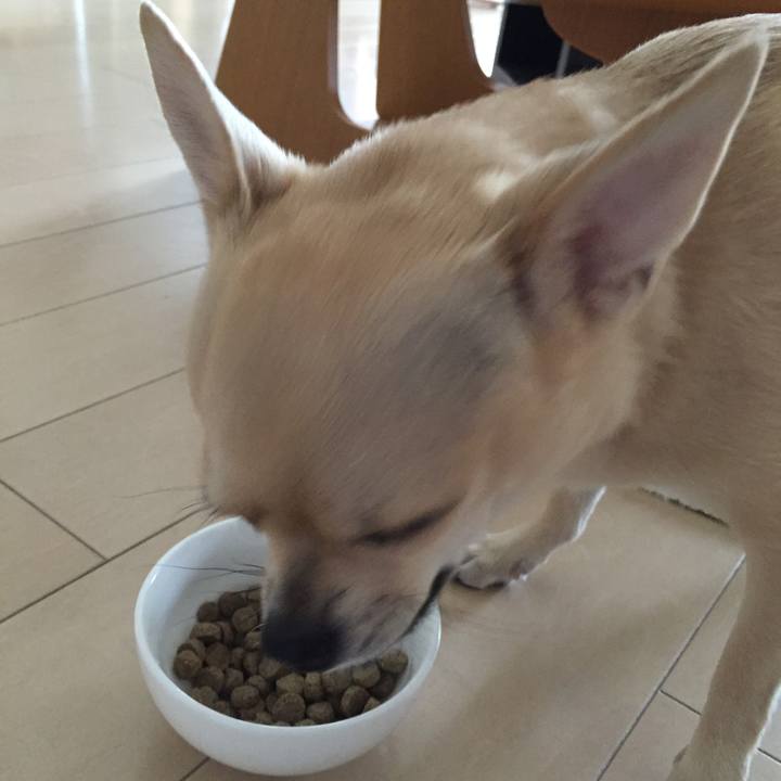 C33d0d30 511c 4f4c bf19 65fcfadbc1ed