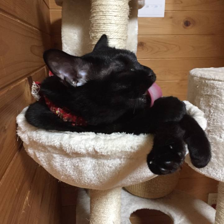 C33d65be 0414 4566 8c6d a5542607dc67