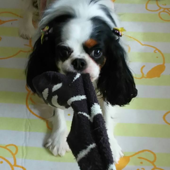 C33d9225 fe16 4e71 a70e 1ec44eb9bff3