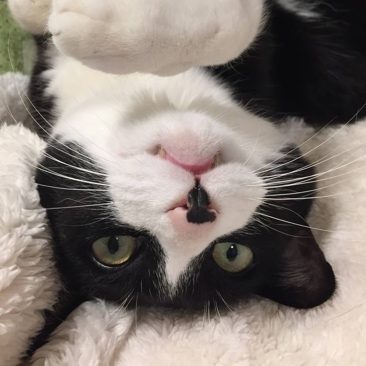 C33debb7 6537 48a0 8643 b0699cdf8661