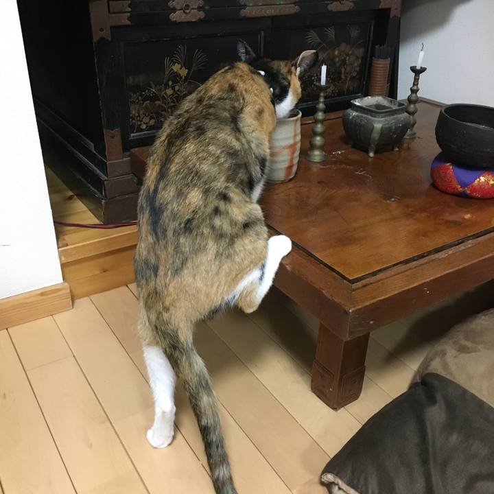 C33e1228 0ce2 46f3 9a3e b5b17bd9dda8