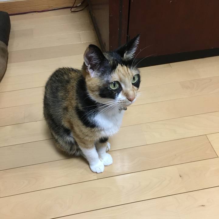 C33ead99 43f1 4a6b b647 0fa365ed2224