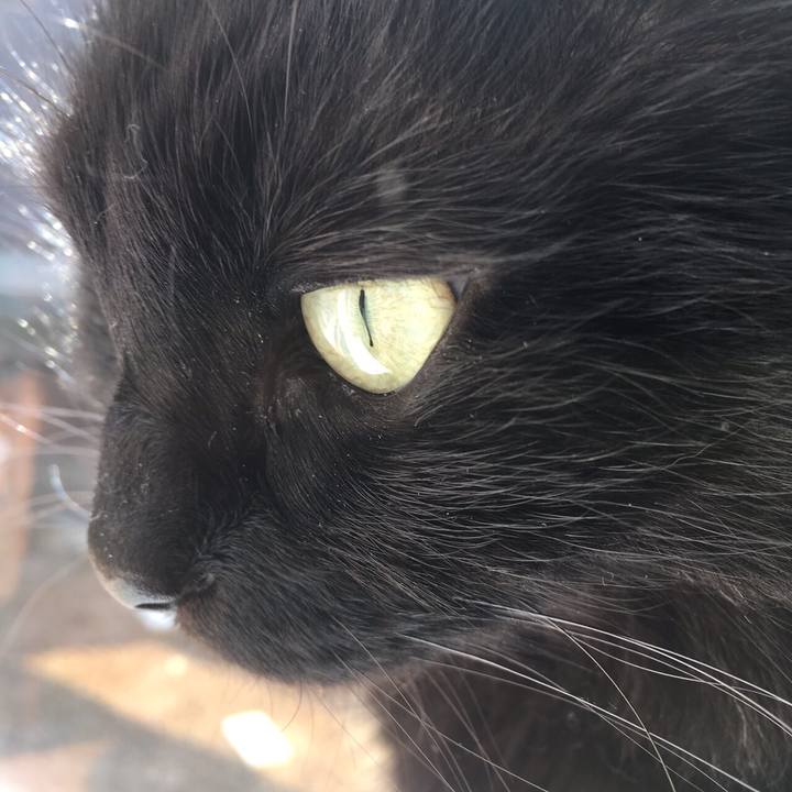 C33eec6a d27d 4830 be7c 3e79f7e49437