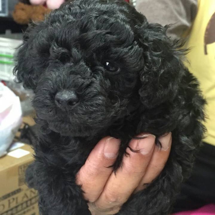 C33f13b0 44c5 4268 8afa b323863d4fb4