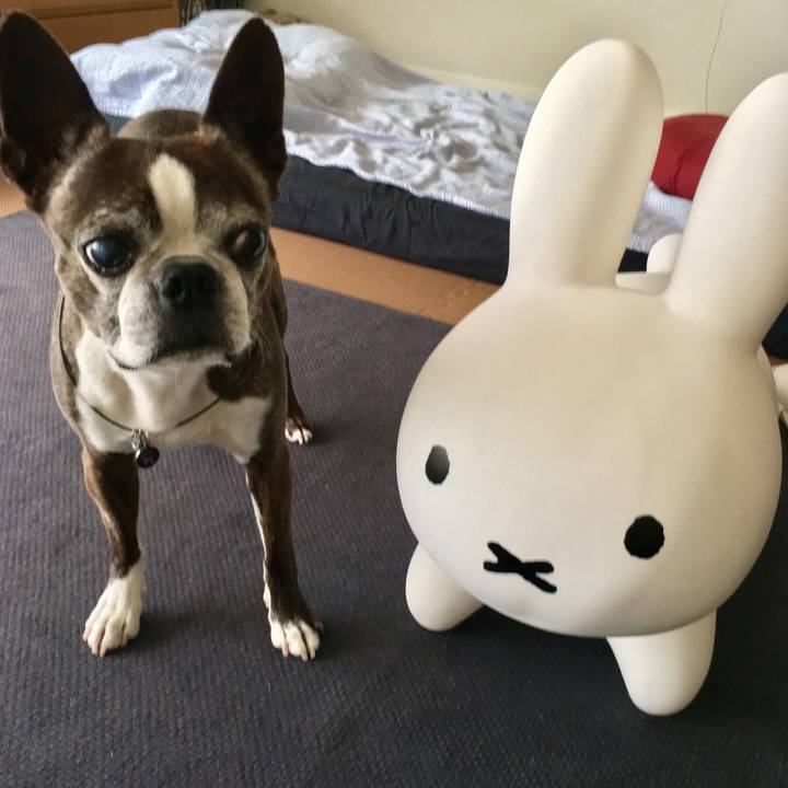 C33f355a aae7 4b87 9d17 973d62e96196