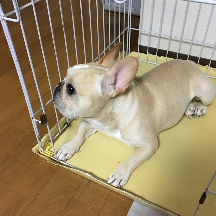 C33f5c64 135b 44e5 be1d 5b9d87ee6545