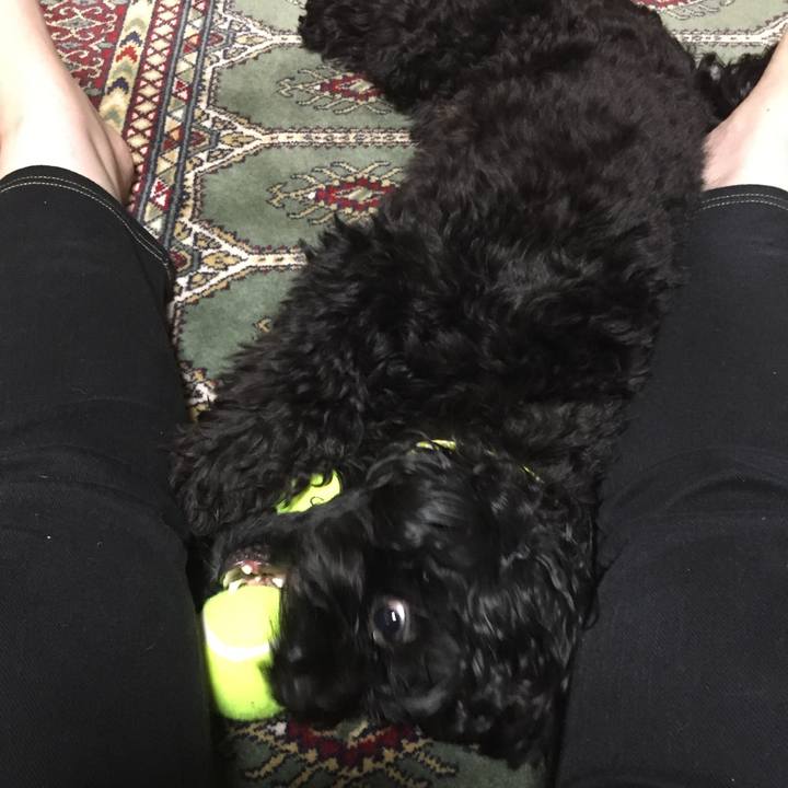 C33f6c12 5dcf 4cef 8646 32d5fe5e093e