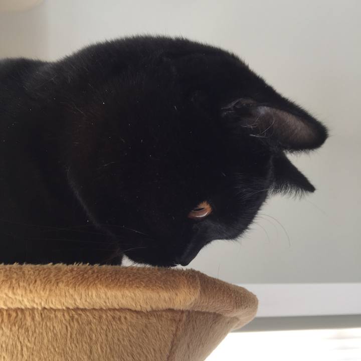 C33f8f55 809a 47a7 a2c7 793978ab6488