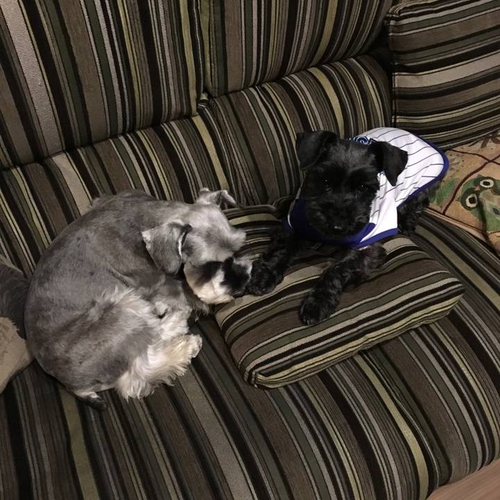 C33fa632 9a6f 4cf8 963f b3cfd60dda84