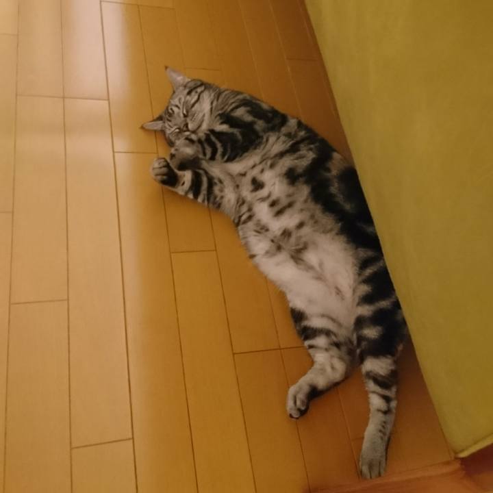 C3418abf afe9 4cf3 b637 a407ab3fd788