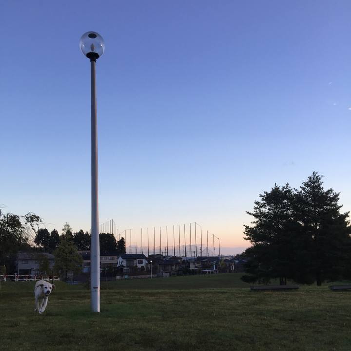 C342d18f 4dd1 4f8c b631 00878a0b9b51