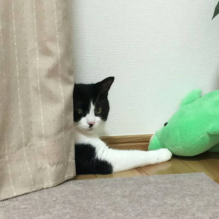 C3440f22 5038 4825 b863 59d7ae9579c4