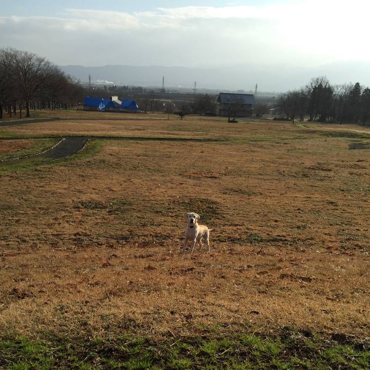 C3446abd 8ba3 44ef afed 1cde6aa8c9c8