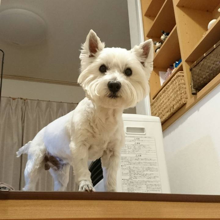 C344acc0 d4a7 4b09 84bc cf599627b07a