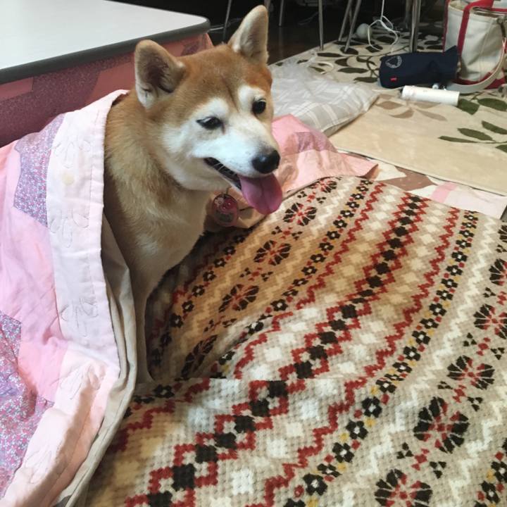 C344b5eb 1370 4e0b bed8 13b339312ce1