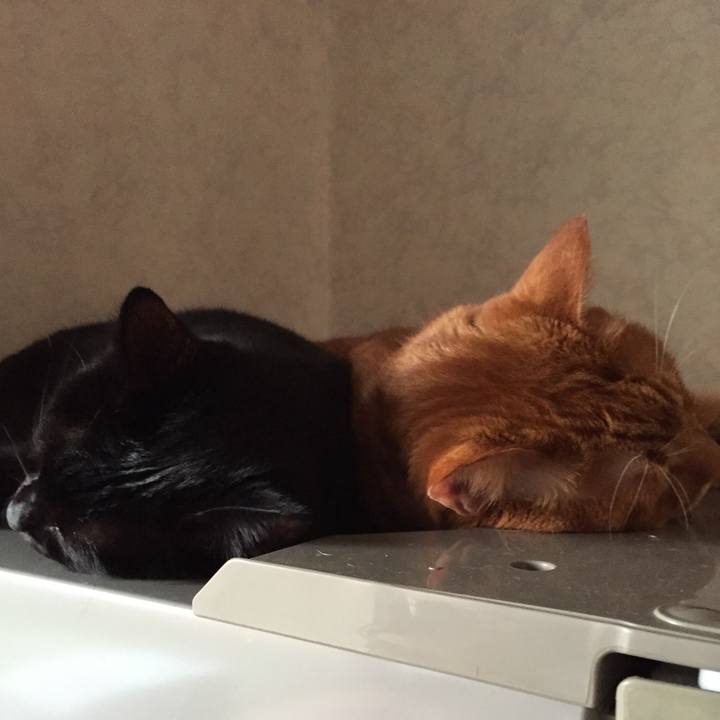 C345000d c08b 47df 8faa 028151b5a091