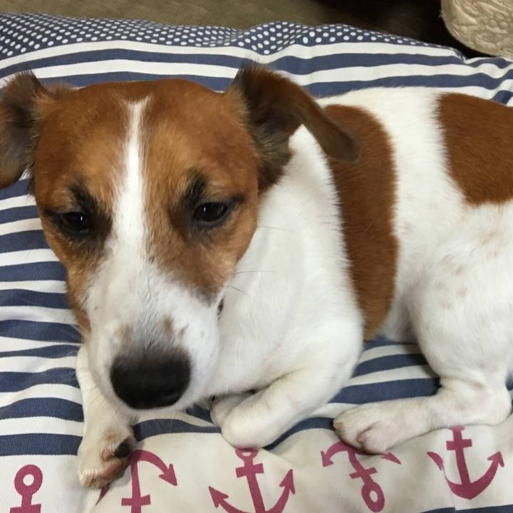 C3455bcc f7a1 4803 ab38 c11b3d55cd58