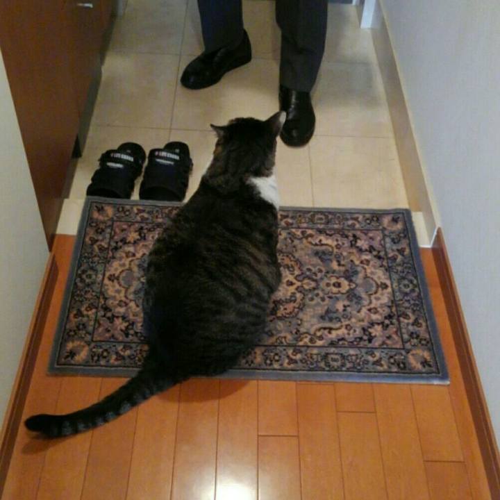 C3455e44 2d15 438d 98d1 14e63d8de866