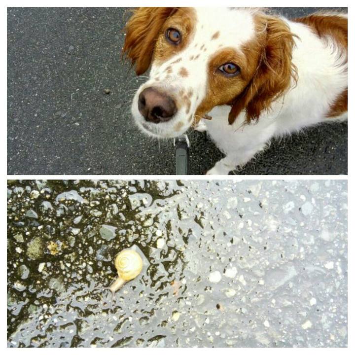 C3461caa 87f2 4e07 a7d0 60e3b68f9f68