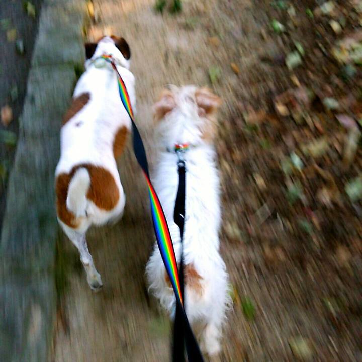 C3462338 35ca 4f97 a343 22042cb15f38