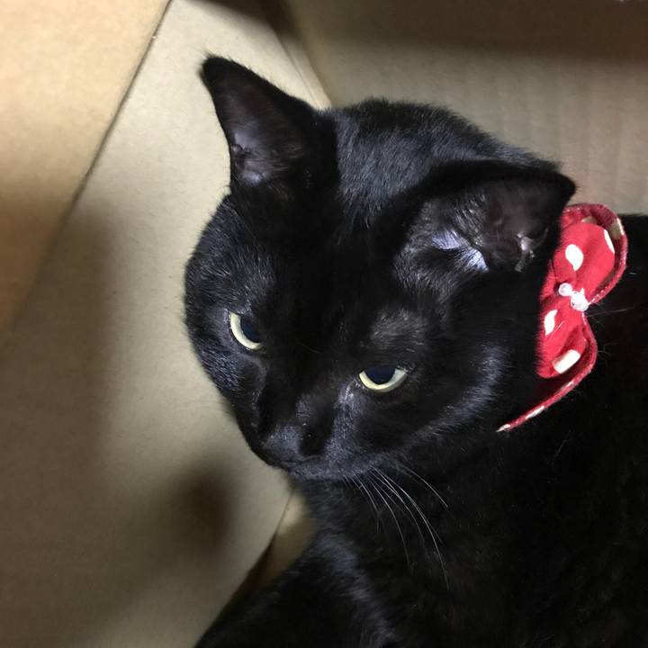 C34663a9 e5d4 47c7 87c6 947986c9e939