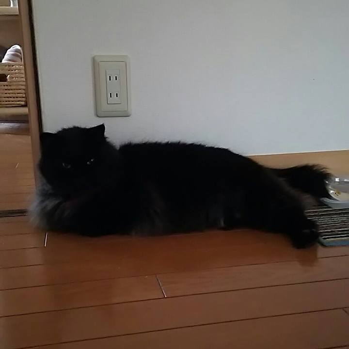 C3481935 45a7 4948 8484 2859209813c5