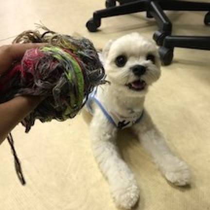 C3487afa 6935 4b7e a174 18d507c79b37