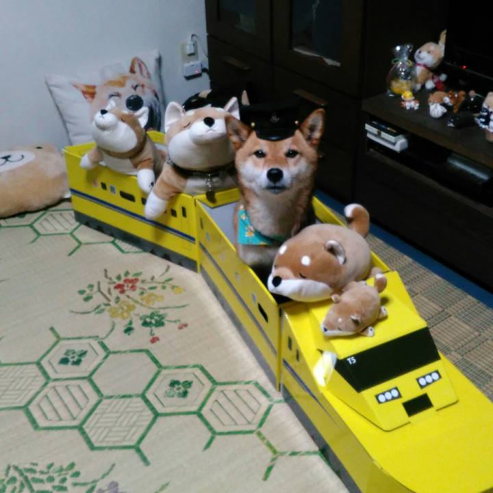 C348aab1 9572 46b6 bb89 bcf9a3660e42