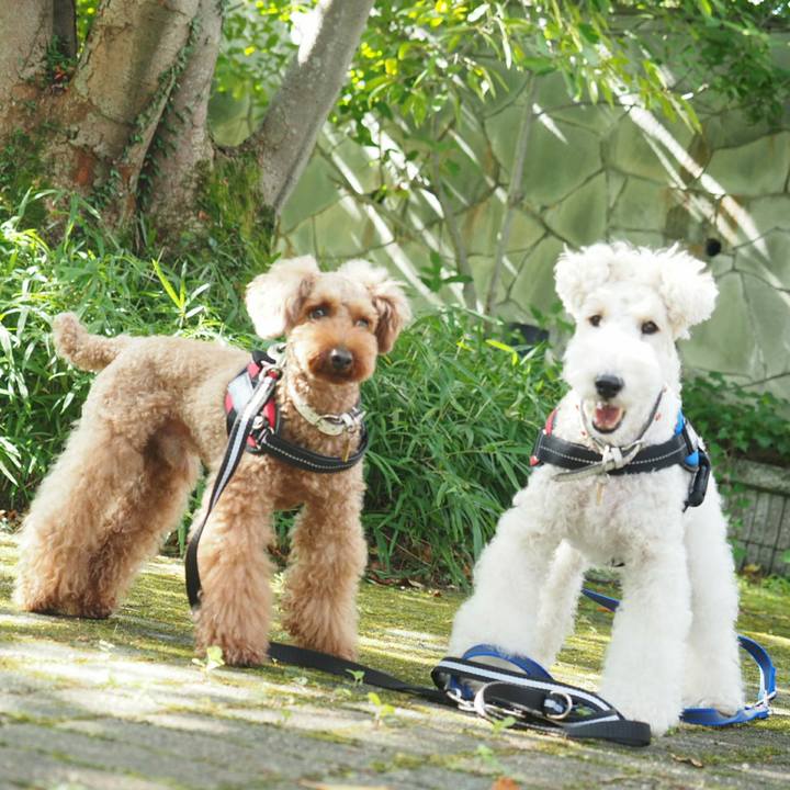 C348fee3 4fd1 41c5 85aa 99fcfe58e412