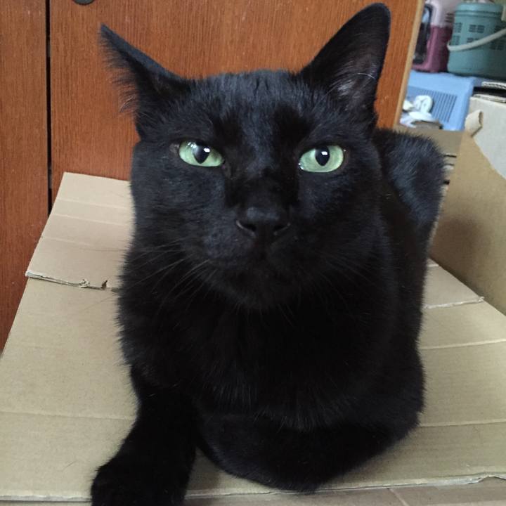 C349234a ea6c 4920 a79b 1c8f934b2225