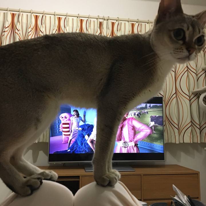 C3494b01 df15 4638 a136 bf91f9009f79