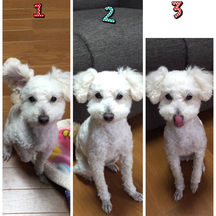 C3499816 39a6 4098 b68a 029c52b7bf38