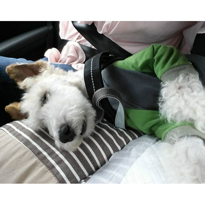 C349f6c1 2c9a 4d48 8cfa a0ed962a08a2