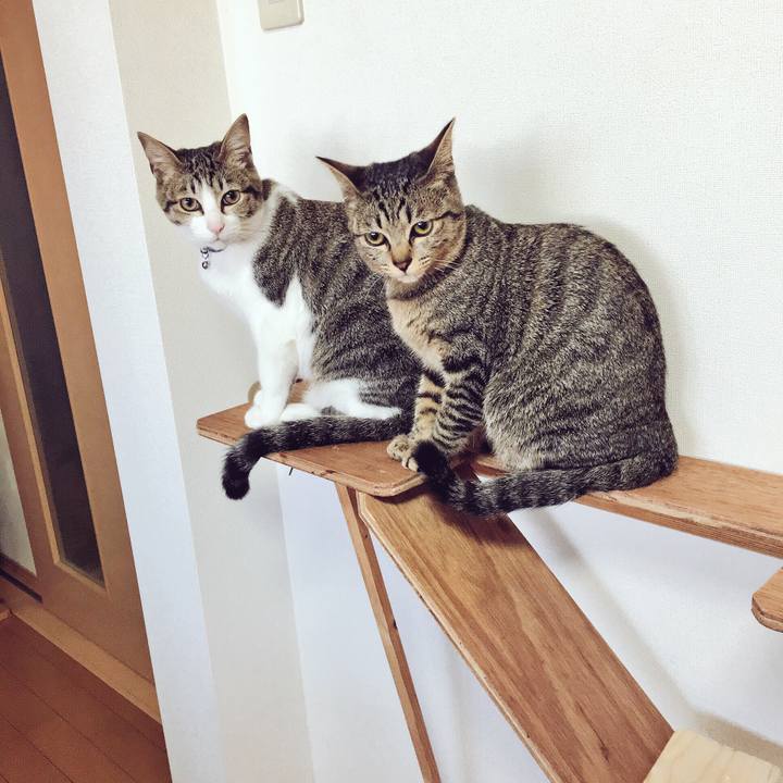 C34a047a 685b 4053 83dd f58e5ea44bf9