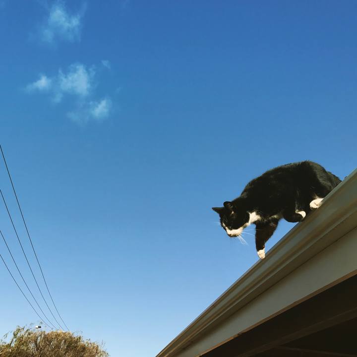 C34aa55b f468 4f52 b8bf 3426fd94dcab