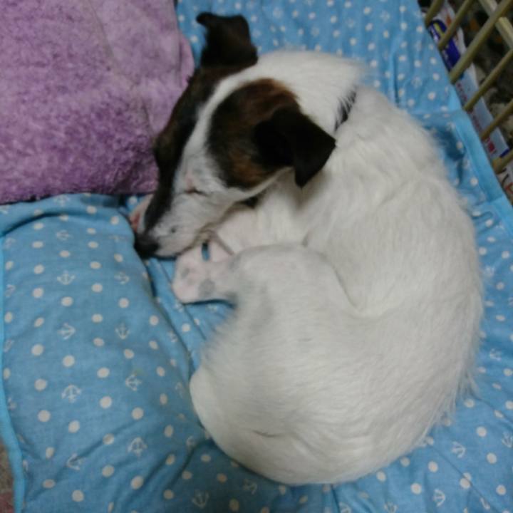 C34ac96c 45c9 4eb2 bf76 7b0ddc6c57a7