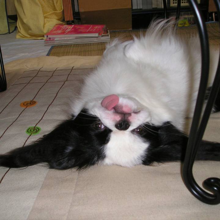 C34b31c7 78a6 4a15 ab29 0e40fe02a3c6