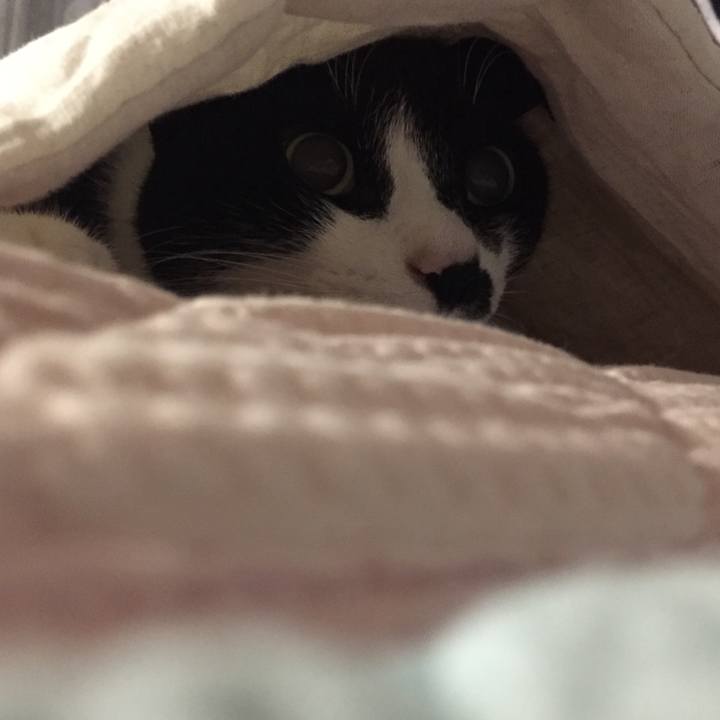 C34bbc64 66c5 4277 b0f4 e17d9b810abf